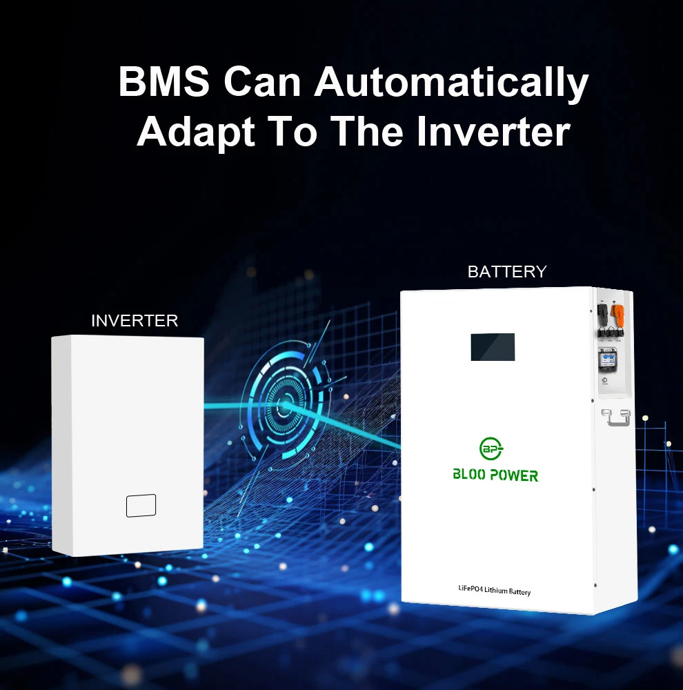 BMS-Can-Automatically-Adapt-To-The-Inverter BMS-Can-Automatically-Adapt-To-The-Inverter